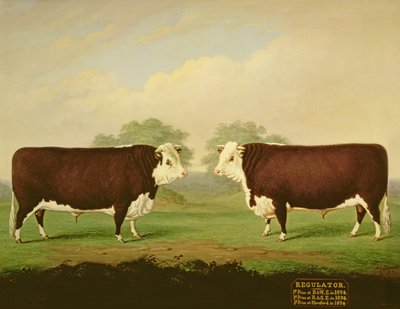 Two Views of a Prize Bull, Named Regulator by H.J. Quintin